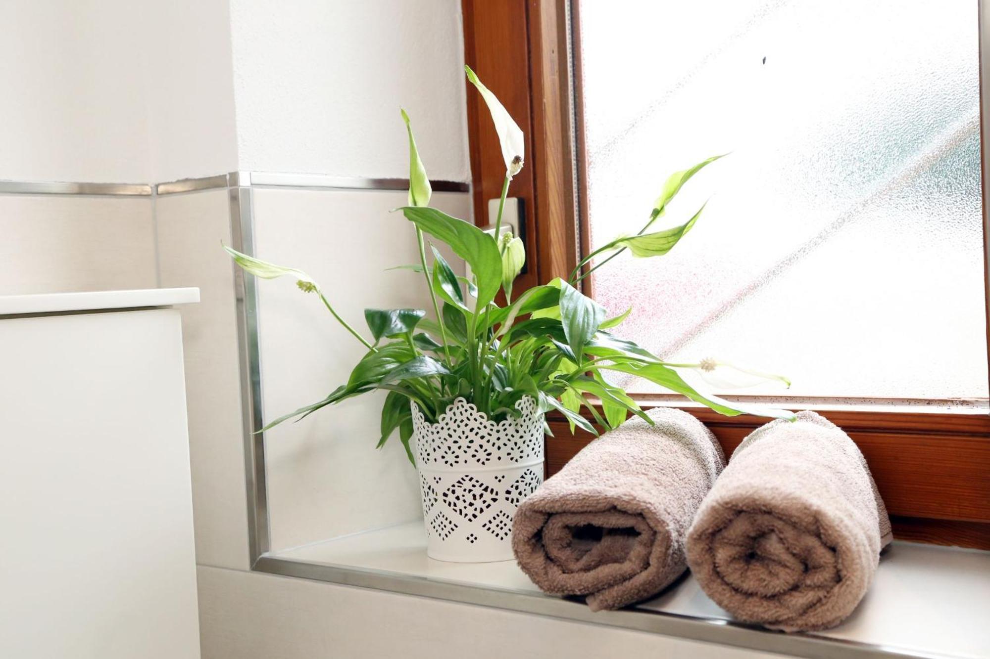 Appartement Schwarzwaldstueble Oberharmersbach Eksteriør bilde
