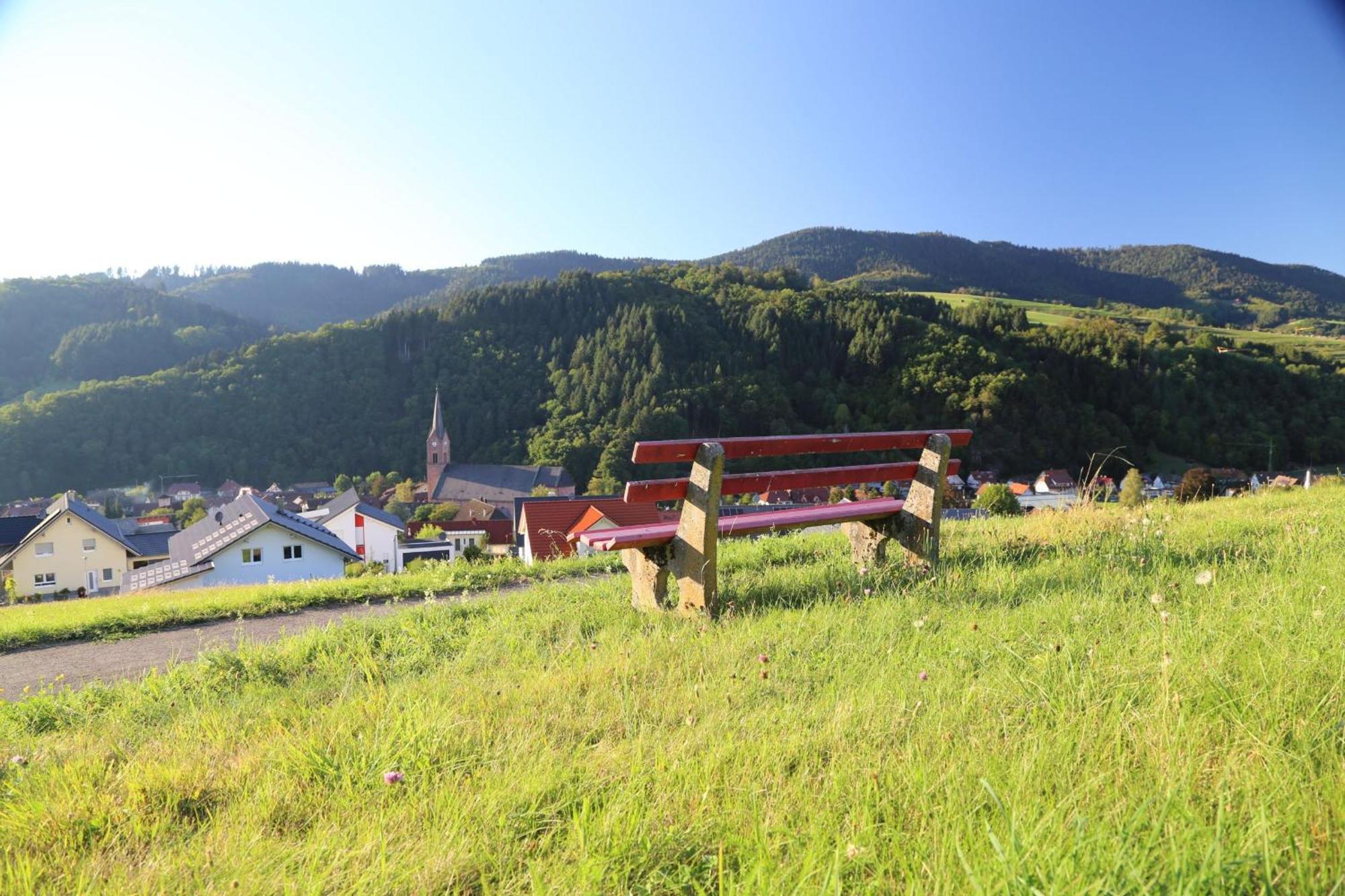 Appartement Schwarzwaldstueble Oberharmersbach Eksteriør bilde